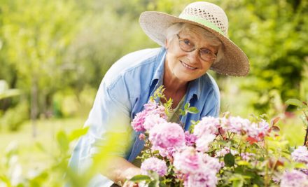 What is Home Care Assistance?