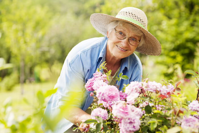 What is Home Care Assistance?
