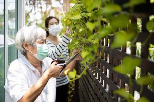 Preventing Senior Falls: What to Look For