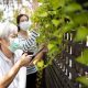 Preventing Senior Falls: What to Look For